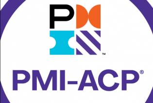 Preparatório Certificação PMI-ACP - Online - Turma 4 - 100% APROVAÇÃO