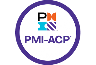 Preparatório Certificação PMI-ACP - Online - Turma 6 - 100% APROVAÇÃO